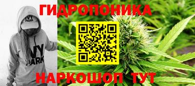 кристаллы Сланцы