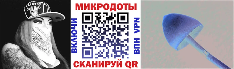 OMG сайт Сургут Псилоцибиновые грибы ЛСД