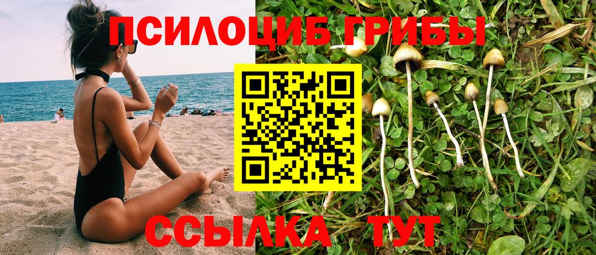 Псилоцибиновые грибы мицелий Сургут