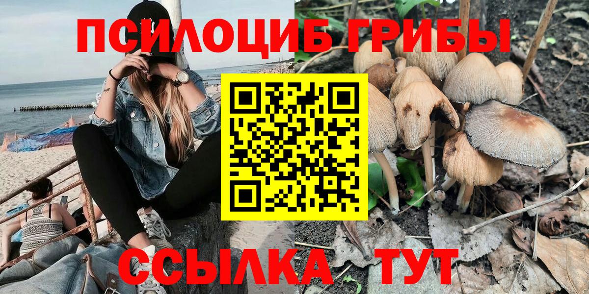 Галлюциногенные грибы мицелий  Галлюциногенные грибы ЛСД  Сургут  Вход с VPN 