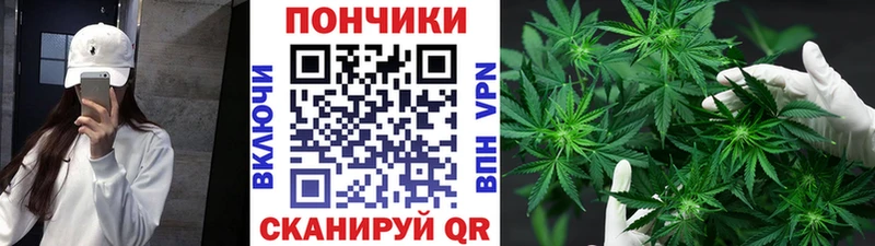 MEGA зеркало  Сургут  МАРИХУАНА тримм  продажа наркотиков 